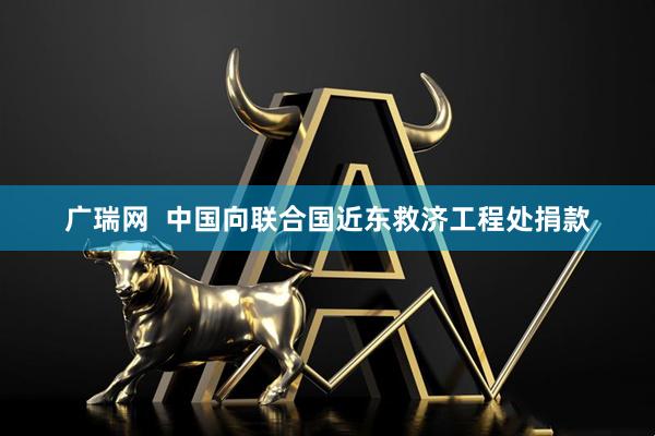 广瑞网  中国向联合国近东救济工程处捐款
