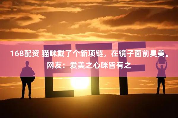 168配资 猫咪戴了个新项链，在镜子面前臭美。网友：爱美之心咪皆有之